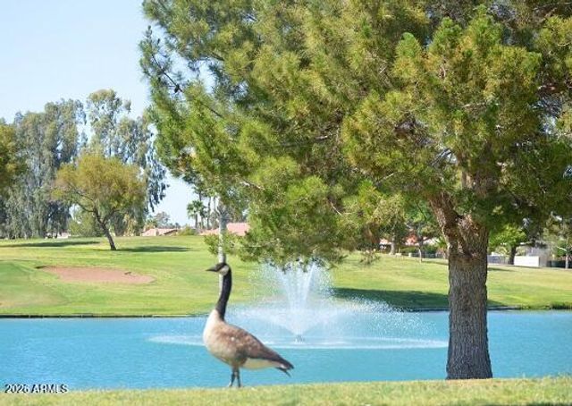9046 E COUNTRY CLUB Drive, Sun Lakes, AZ 85248