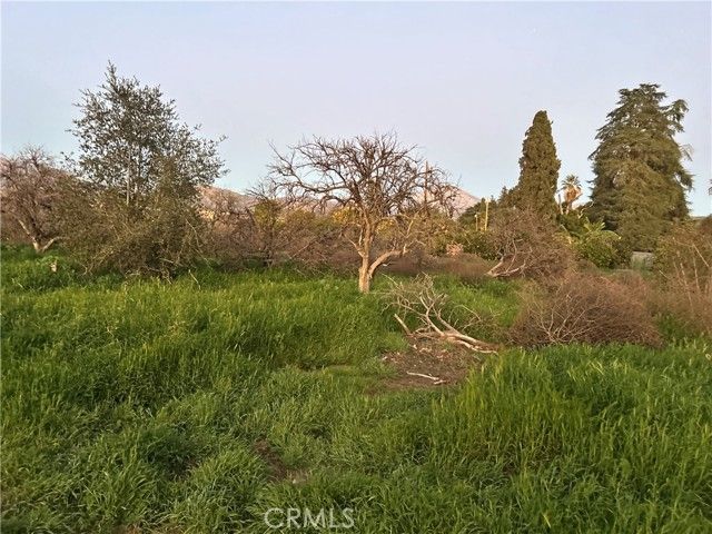 400 Walnut Avenue, Redlands, CA 92373