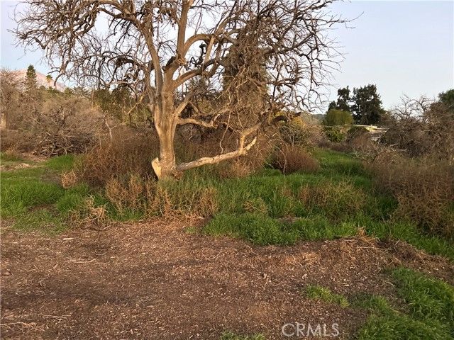 400 Walnut Avenue, Redlands, CA 92373