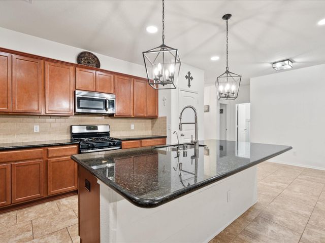 12319 Little Blue Heron Lane, Conroe, TX 77304