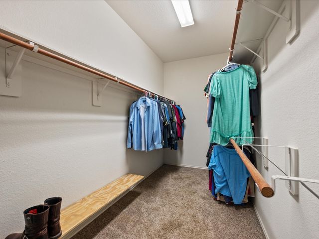 12319 Little Blue Heron Lane, Conroe, TX 77304