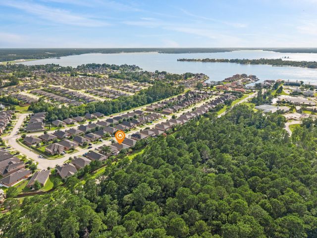 12319 Little Blue Heron Lane, Conroe, TX 77304