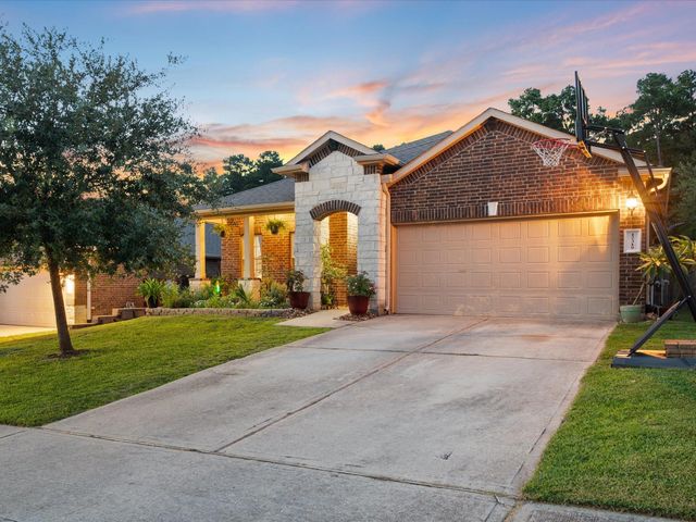 12319 Little Blue Heron Lane, Conroe, TX 77304