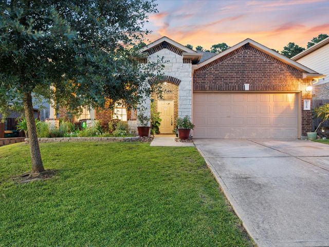 12319 Little Blue Heron Lane, Conroe, TX 77304