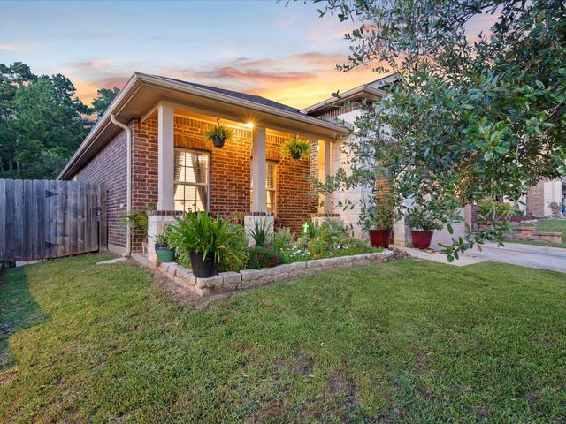 12319 Little Blue Heron Lane, Conroe, TX 77304