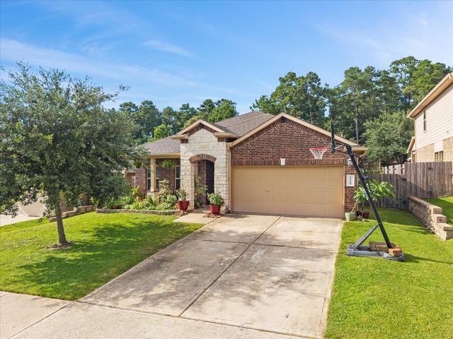12319 Little Blue Heron Lane, Conroe, TX 77304