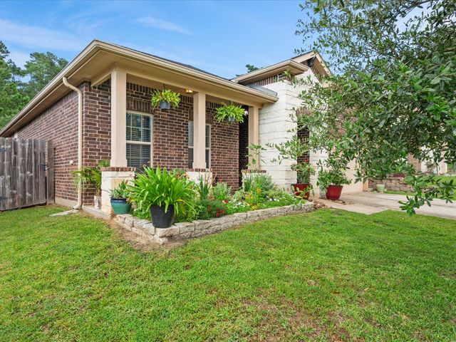 12319 Little Blue Heron Lane, Conroe, TX 77304