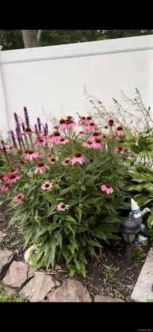 171 Shelter Road, Ronkonkoma, NY 11779