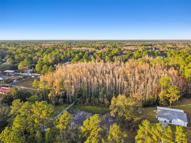 26305 BLUESTRIPE DRIVE, Wesley Chapel, FL 33544