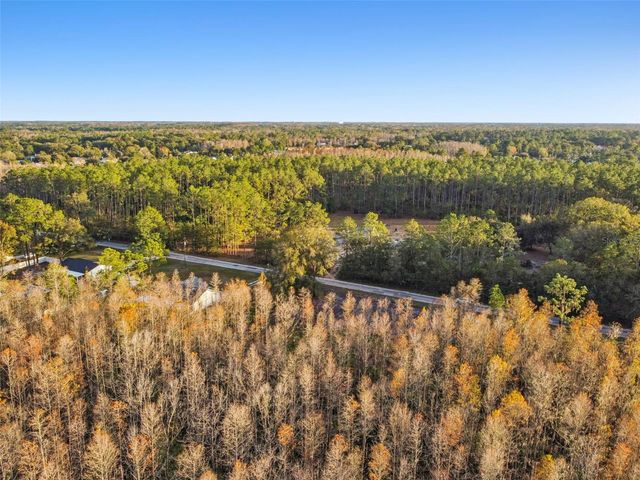 26305 BLUESTRIPE DRIVE, Wesley Chapel, FL 33544