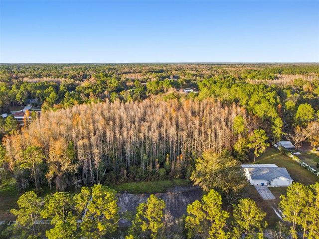 26305 BLUESTRIPE DRIVE, Wesley Chapel, FL 33544