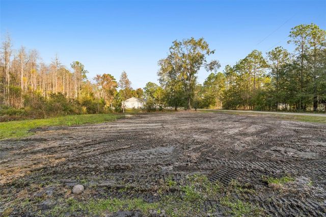 26305 BLUESTRIPE DRIVE, Wesley Chapel, FL 33544