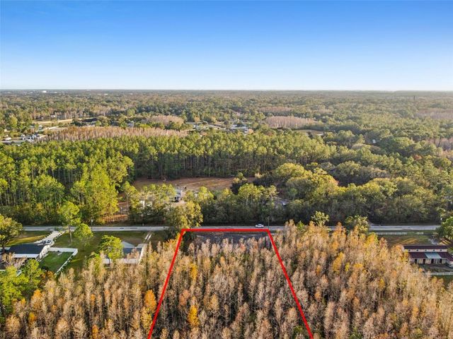 26305 BLUESTRIPE DRIVE, Wesley Chapel, FL 33544