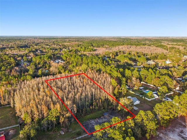 26305 BLUESTRIPE DRIVE, Wesley Chapel, FL 33544