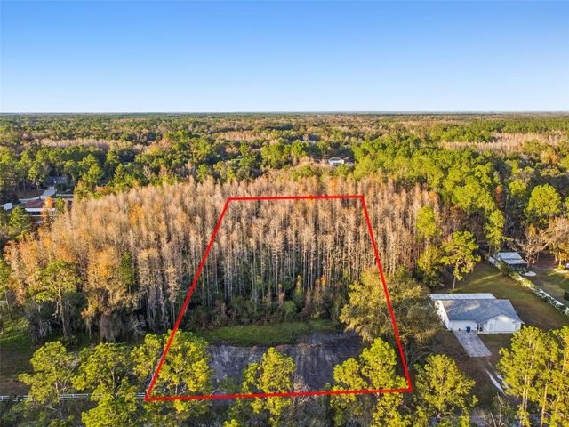 26305 BLUESTRIPE DRIVE, Wesley Chapel, FL 33544