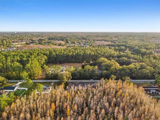 26305 BLUESTRIPE DRIVE, Wesley Chapel, FL 33544