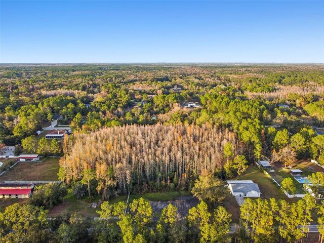 26305 BLUESTRIPE DRIVE, Wesley Chapel, FL 33544
