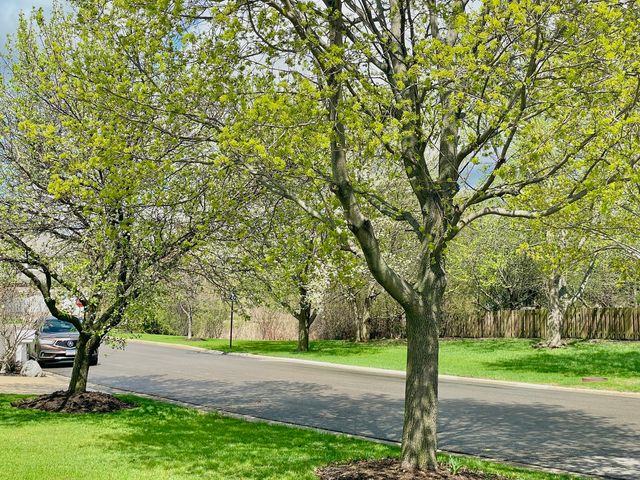 88 Hackney Lane, Lindenhurst, IL 60046