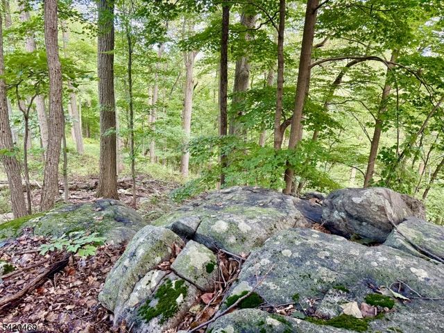 122 Forest Dr, Lebanon Twp., NJ 08826
