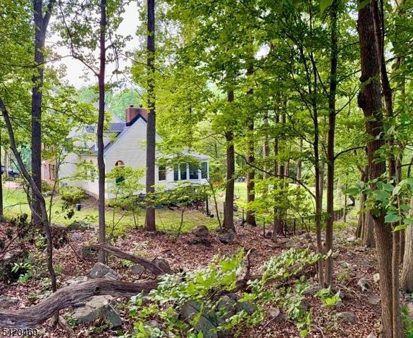 122 Forest Dr, Lebanon Twp., NJ 08826