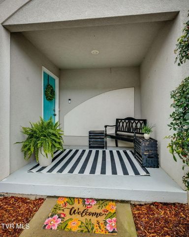 175 Bentley Parc 175, Johnson City, TN 37615