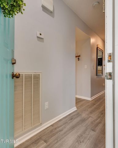 175 Bentley Parc 175, Johnson City, TN 37615