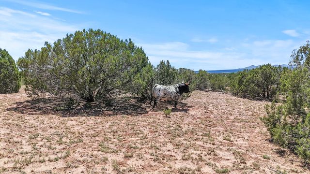 54 Anaya Spring A, Santa Fe, NM 87508