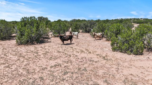 54 Anaya Spring A, Santa Fe, NM 87508