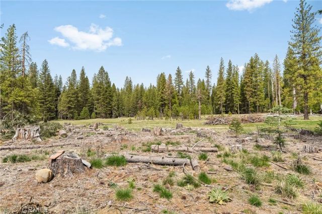 7597 Maddrill, Butte Meadows, CA 95942