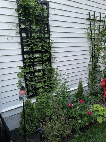 27 Liberty Hill Ave, Salem, MA 01970