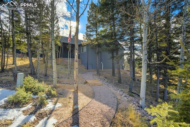 57 Cradle Lake Place, Divide, CO 80814