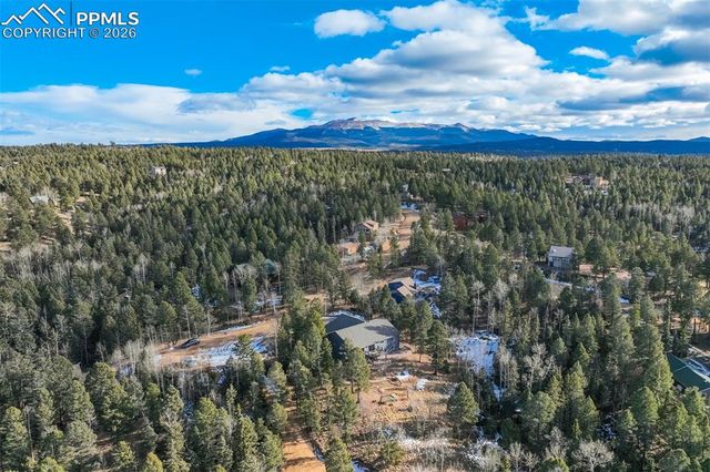 57 Cradle Lake Place, Divide, CO 80814