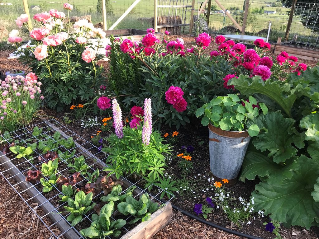 381 Sky West Lane, Hamilton, MT 59840 photo 57