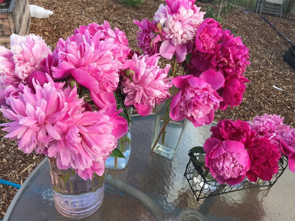 381 Sky West Lane, Hamilton, MT 59840 photo 72