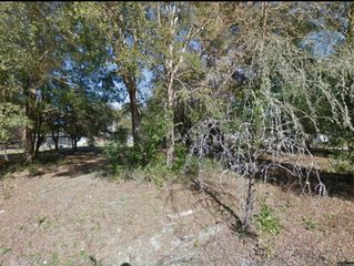 17449 NW 89TH TERRACE, Fanning Springs, FL 32693
