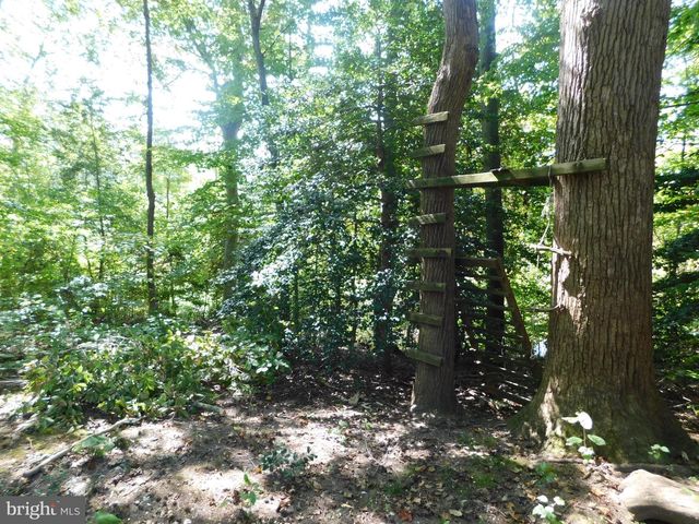 28 BALTRAY, Dover, DE 19904