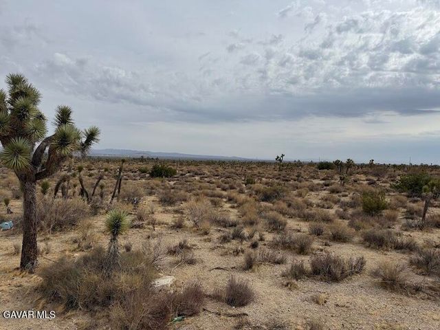 220 E Avenue X, Llano, CA 93544