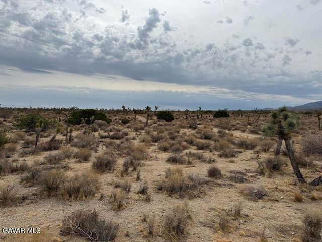 220 E Avenue X, Llano, CA 93544