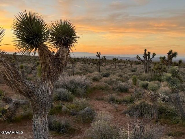 220 E Avenue X, Llano, CA 93544