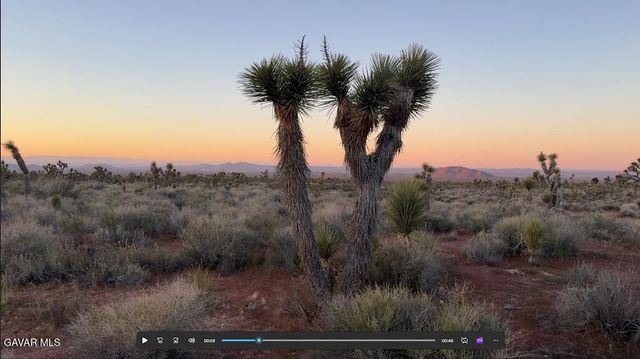 220 E Avenue X, Llano, CA 93544