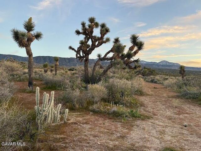 220 E Avenue X, Llano, CA 93544