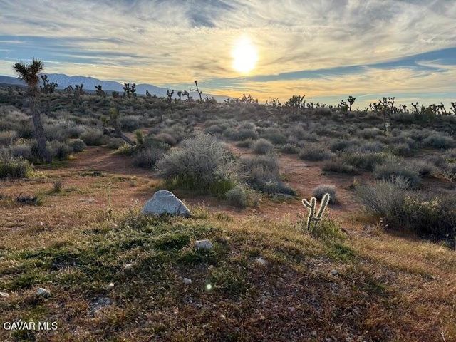 220 E Avenue X, Llano, CA 93544