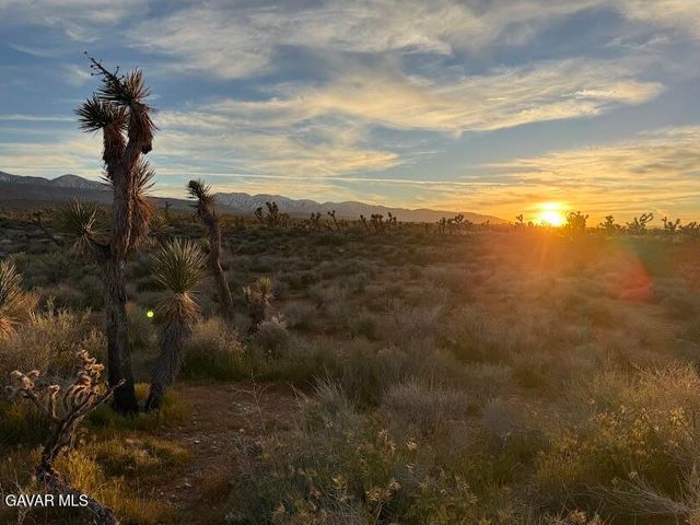 220 E Avenue X, Llano, CA 93544
