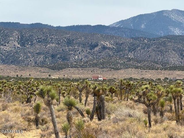 220 E Avenue X, Llano, CA 93544