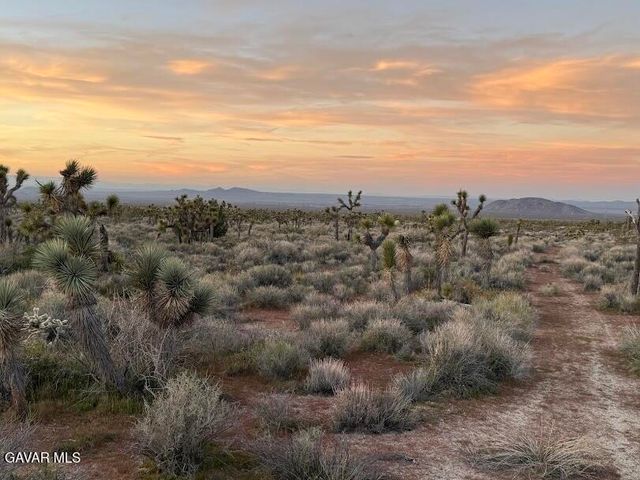 220 E Avenue X, Llano, CA 93544