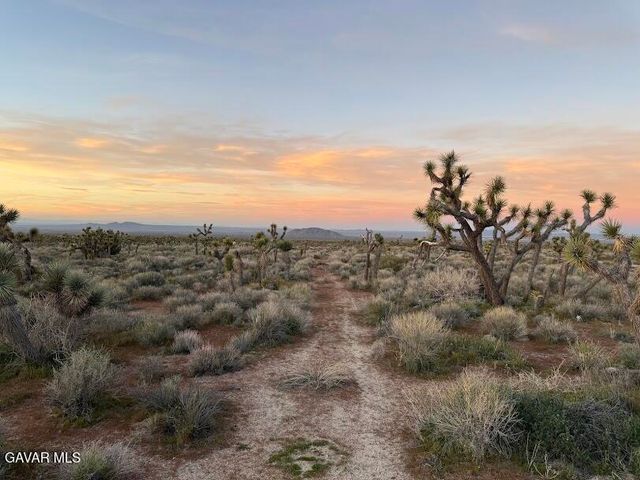 220 E Avenue X, Llano, CA 93544