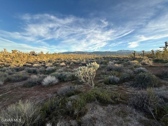 220 E Avenue X, Llano, CA 93544