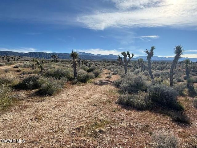 220 E Avenue X, Llano, CA 93544
