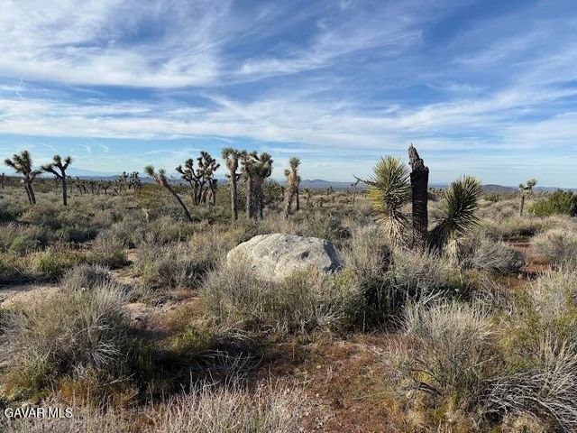 220 E Avenue X, Llano, CA 93544