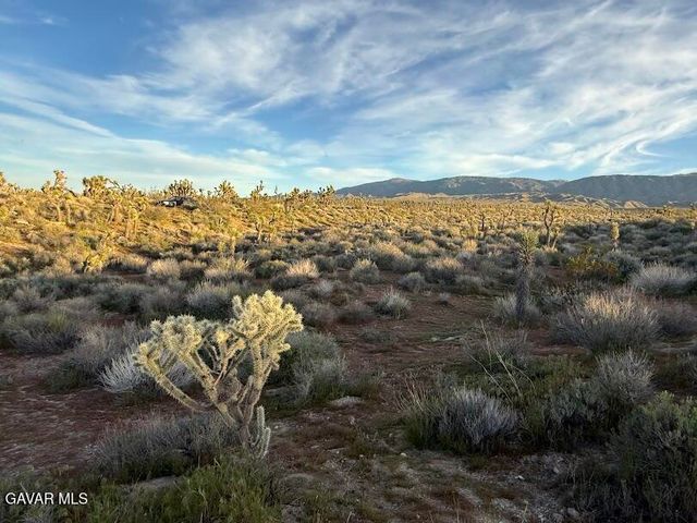 220 E Avenue X, Llano, CA 93544